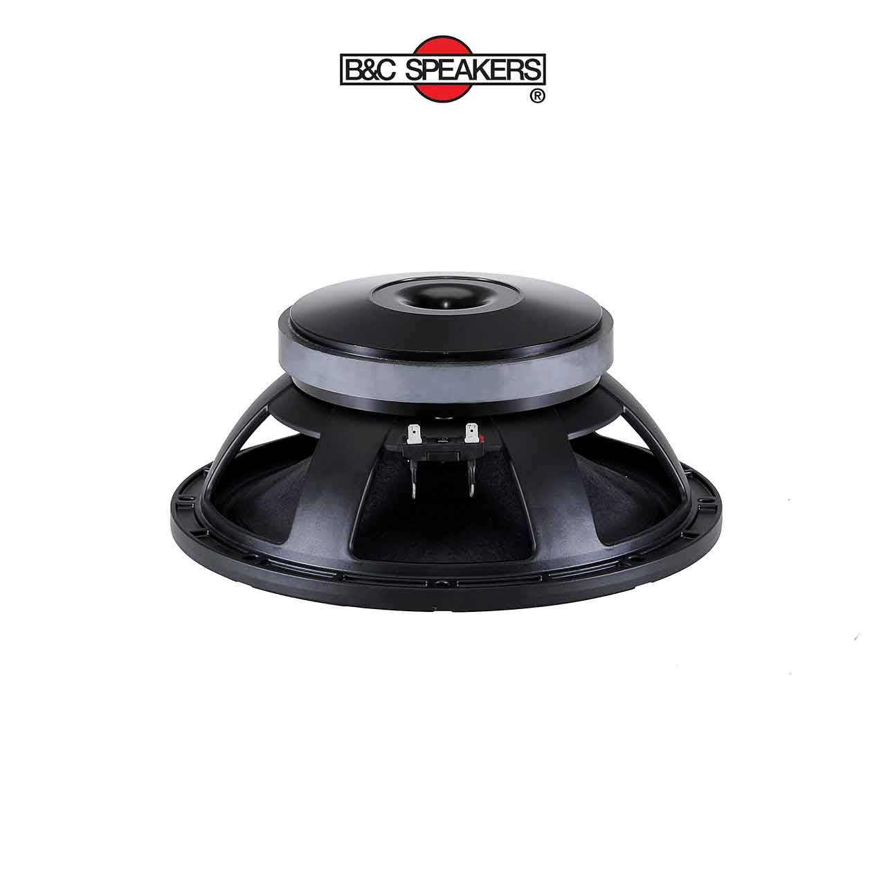 12MH32 – Loa bass rời B&C Speakers 3 tấc 12 inch - Ảnh 1