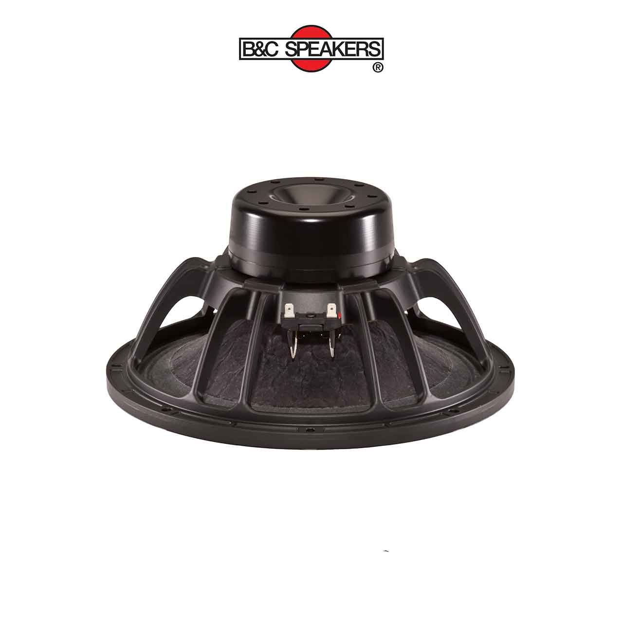 12NDL88 – Loa bass rời B&C Speakers 3 tấc 12 inch - Ảnh 1