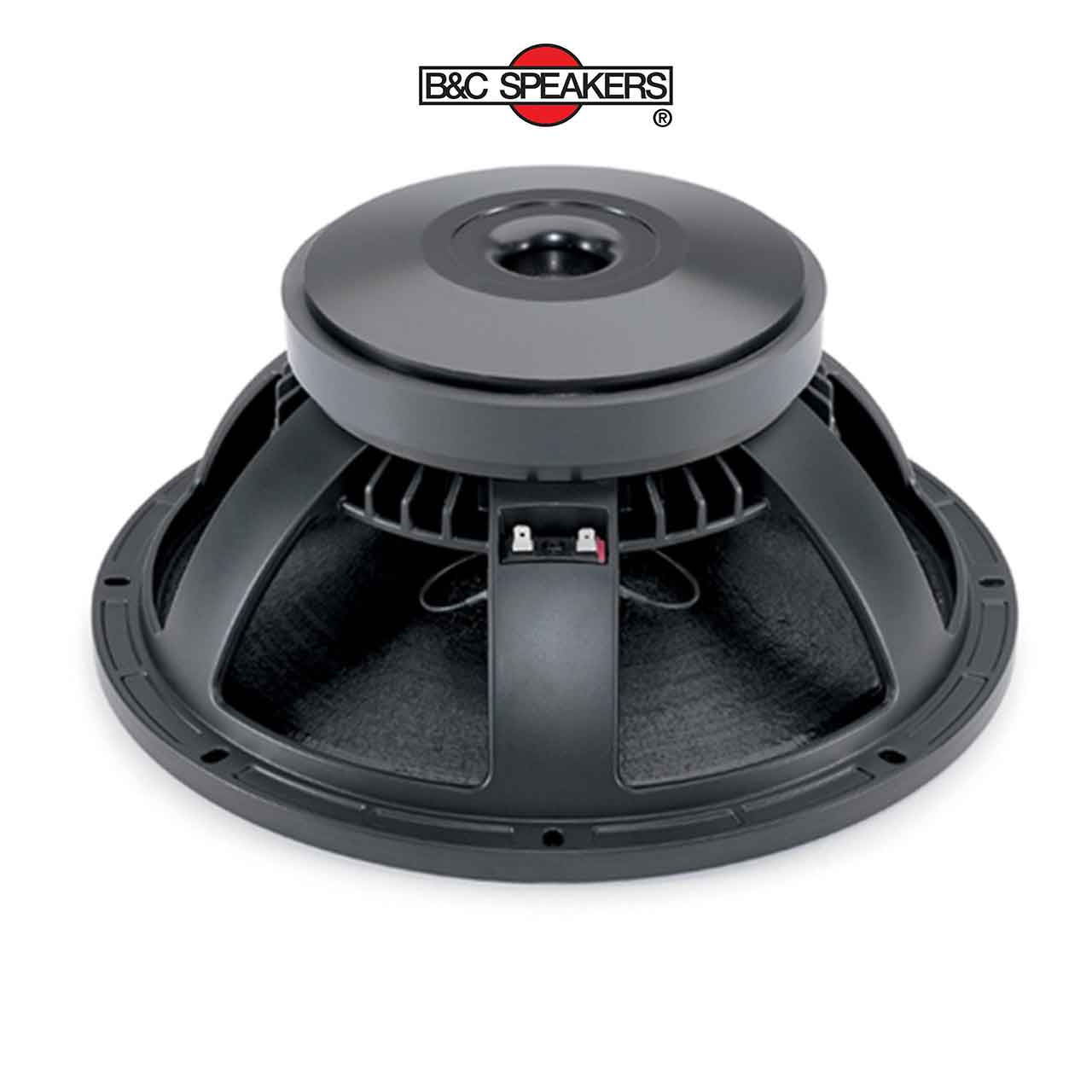 15PZB100 – Loa bass rời B&C Speakers 4 tấc 15 inch - Ảnh 1