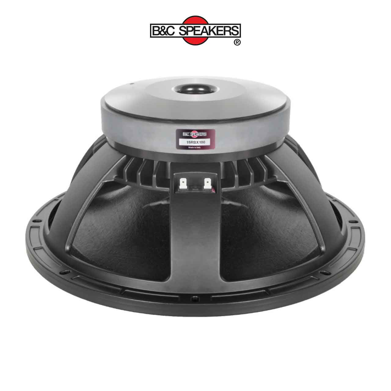 15RBX100 – Loa bass rời B&C Speakers 4 tấc 15 inch - Ảnh 1