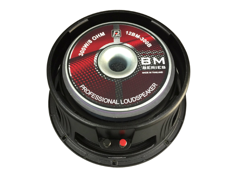 LOA RỜI P.AUDIO 12BM-300B - Ảnh 1