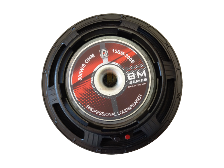 LOA RỜI P.AUDIO 15BM-300B - Ảnh 1