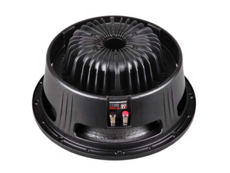 LOA RỜI P.AUDIO P12N - Ảnh 1