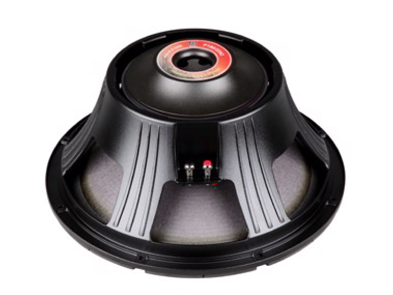 LOA RỜI P.AUDIO P180/2241 - Ảnh 1
