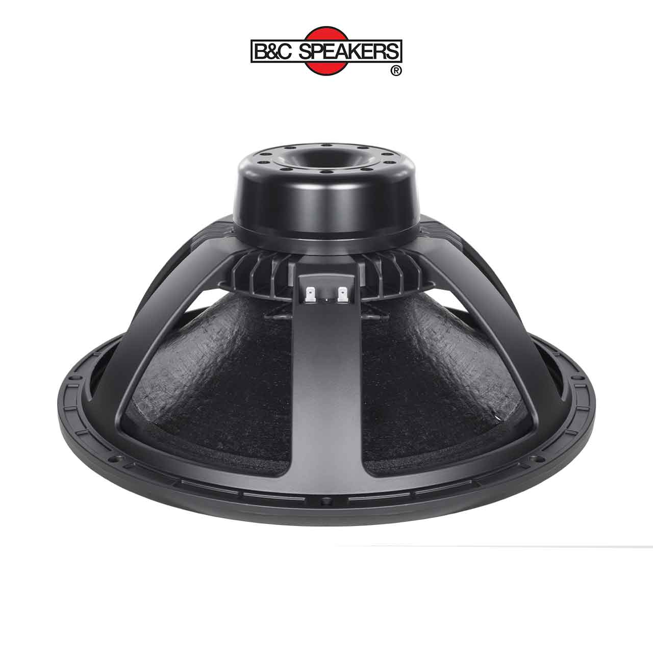 Loa Sub Rời B&C Speakers 5 tấc 18NBX100 - Ảnh 1